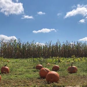 Meet your Posher, Jenny